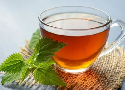 Właściwości Pokrzywy